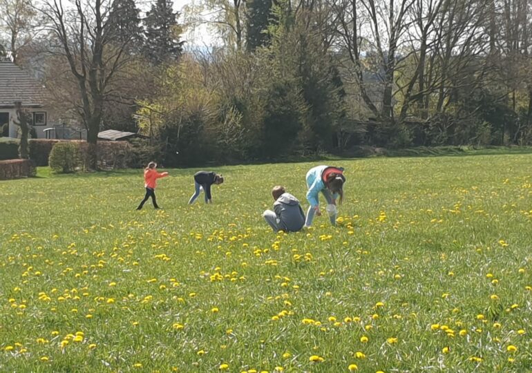 IMG-20210503-WA0029